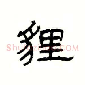 貍