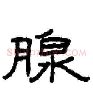 腺