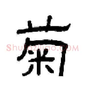 菊