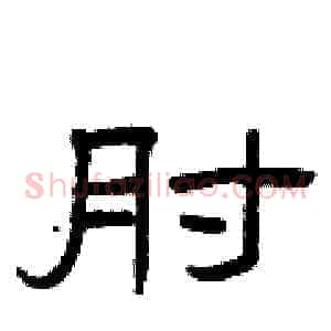 肘
