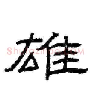 雄