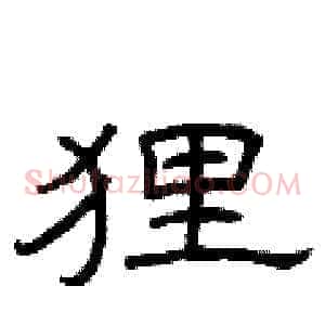 狸