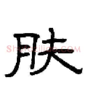 肤