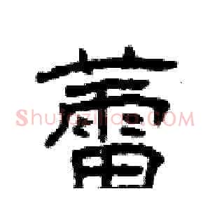 蕾
