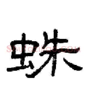蛛