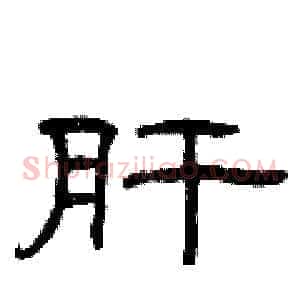 肝