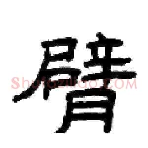 臂