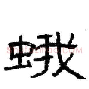 蛾