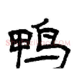鸭