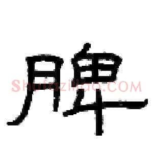 脾