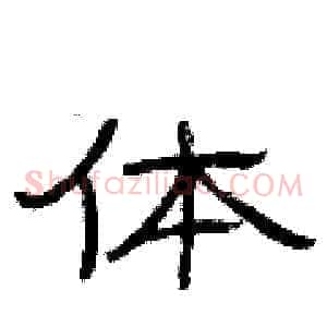 体