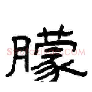 朦