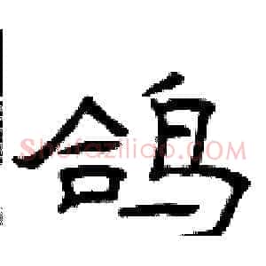 鸽