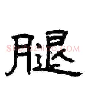 腿