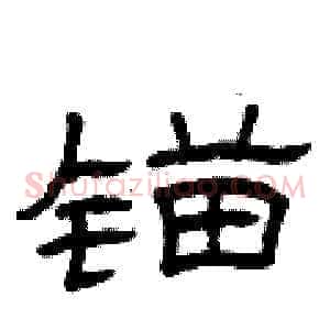 锚
