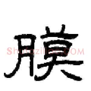 膜