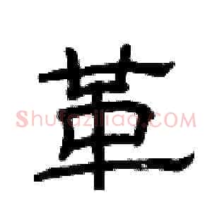 革