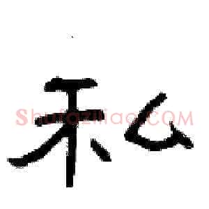 私