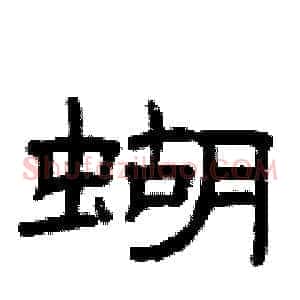 蝴