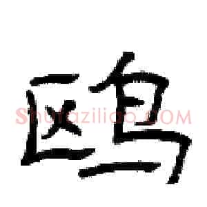 鸥