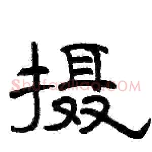 摄