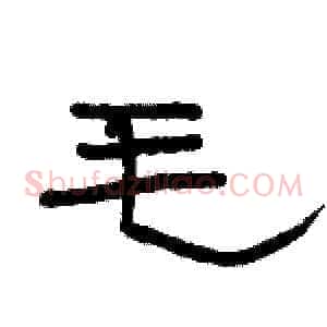 毛