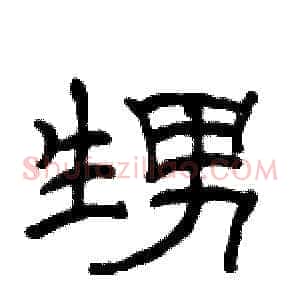 甥