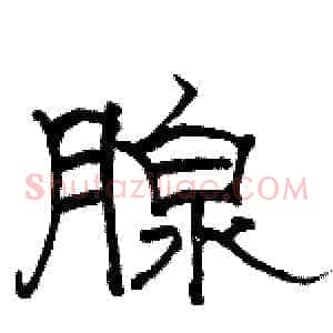 腺