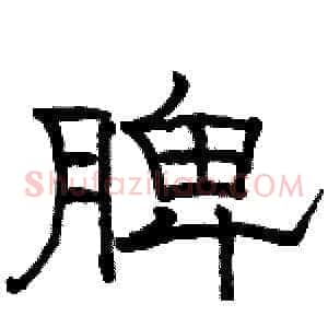 脾