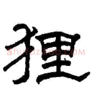 狸