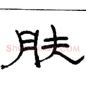 肤