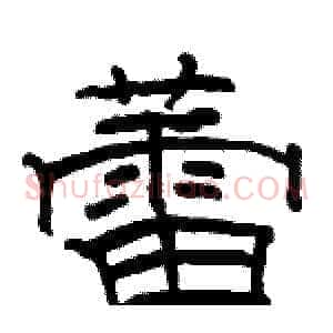 蕾