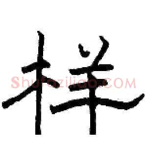 样