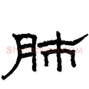 肺