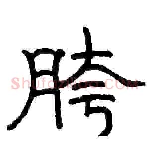 胯