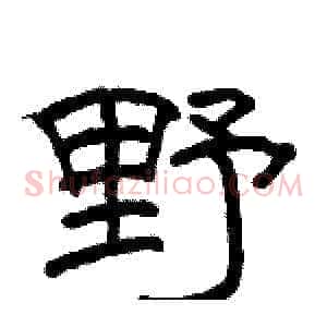 野