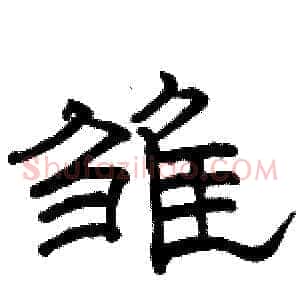 雏