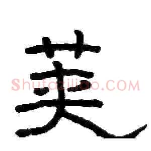 荚