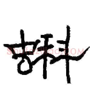 蝌
