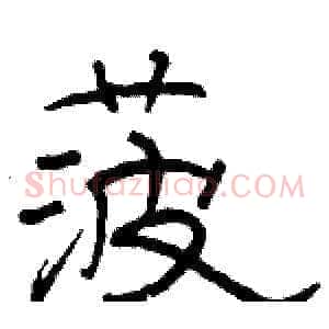 菠
