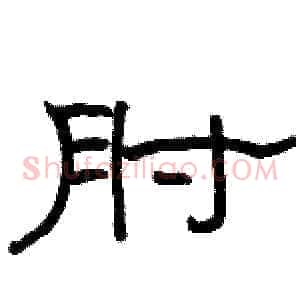 肘