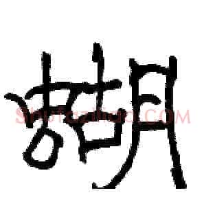 蝴