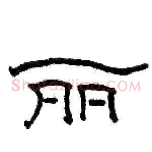 丽