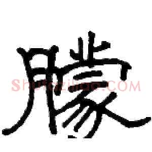 朦