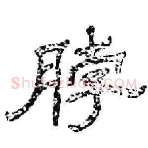 脖