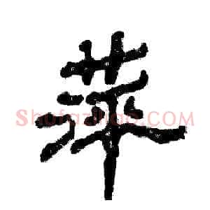 萍