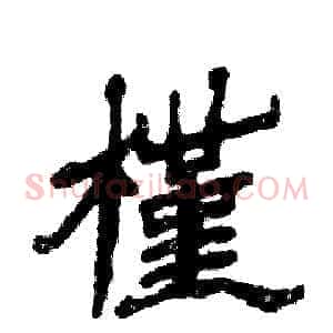槿