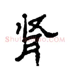 肾