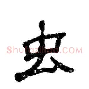 虫