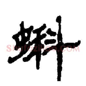 蝌